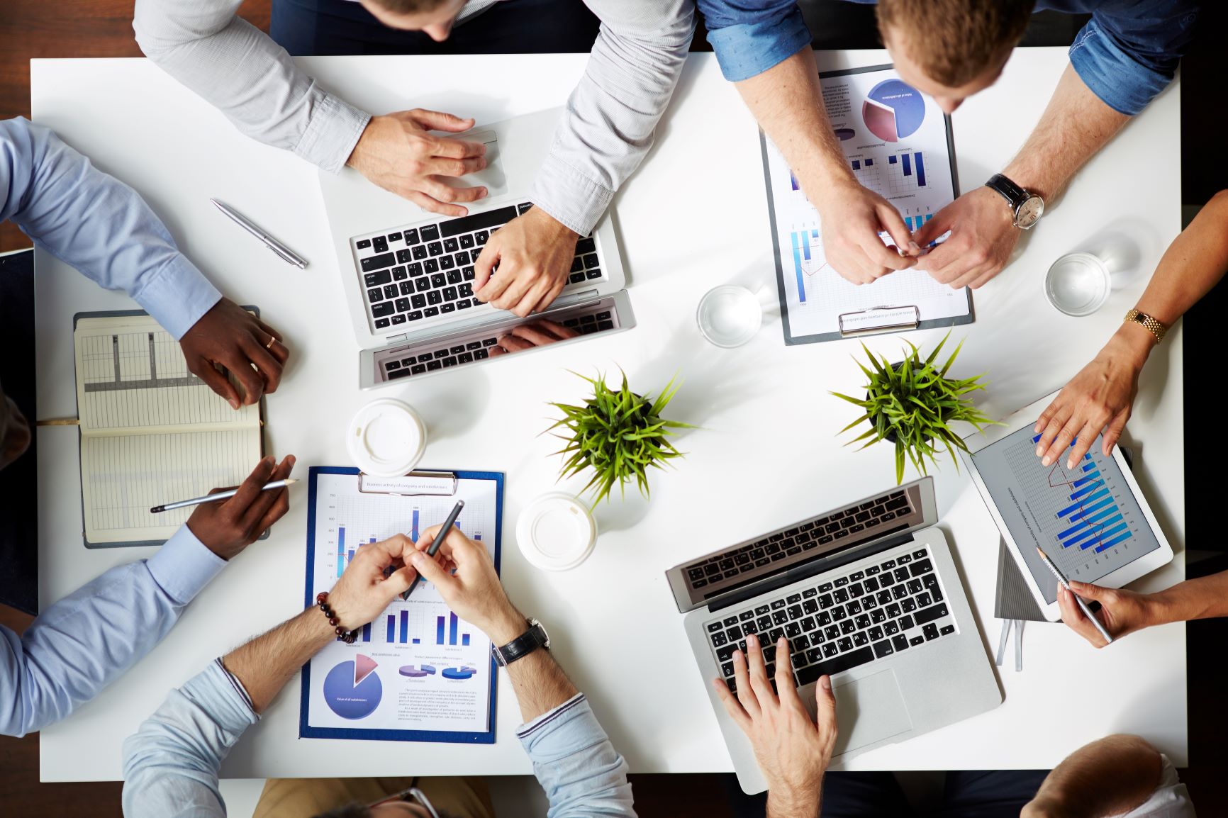 seguros de empleados